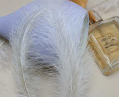 Перья, Кремовый, 12-15 см, 50 шт.