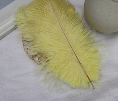 Перья, Желтый, 15-20 см, 10 шт.